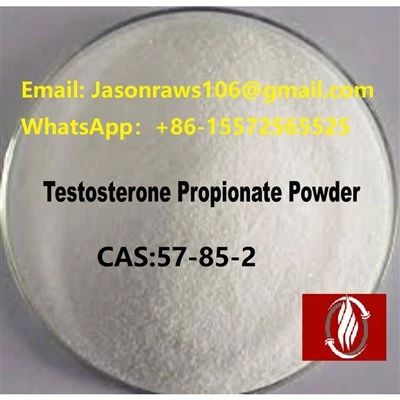 Testosteronpropionatpulver för bodybuilding CAS:57-85-2
