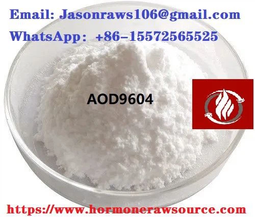 AOD9604 Pulver för bodybuilding cas: 221231-10-3