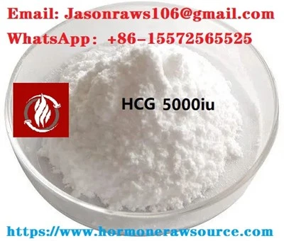 HCG (mänsklig korionisk gonadotropin) pulver för bodybuilding cas: 9002-61-3